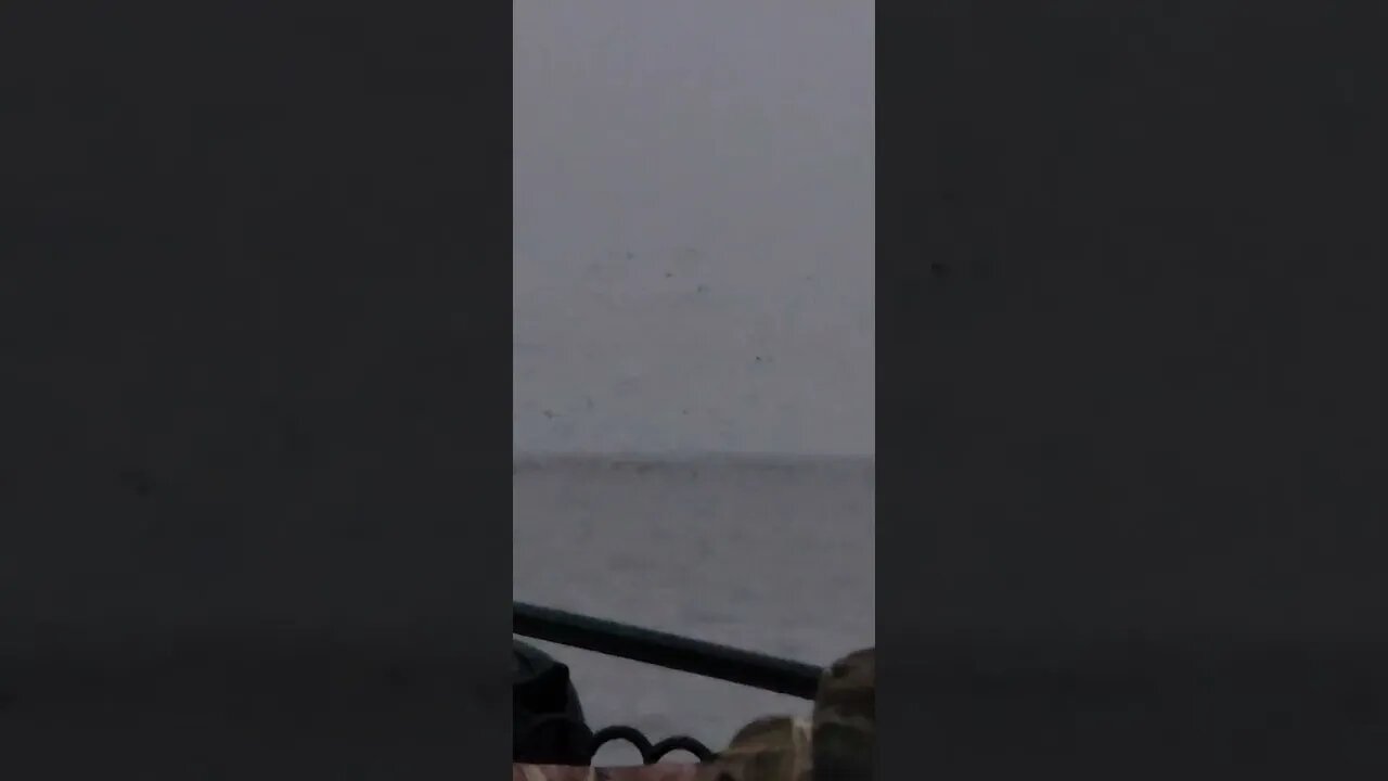 Set your playback to high def! The ride out thousands of ducks!