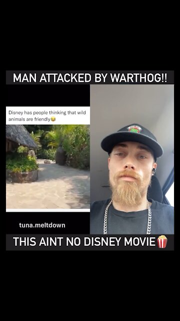 Life Ain’t No Disney Movie