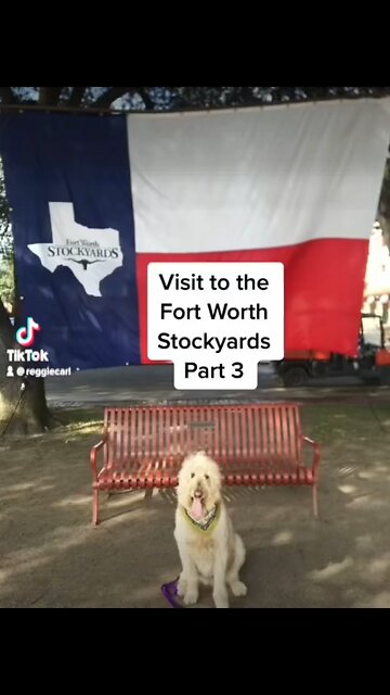 Touring Ft Worth Stockyards