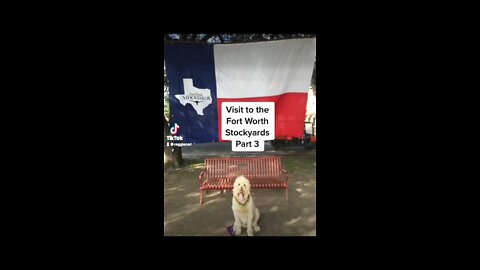 Touring Ft Worth Stockyards