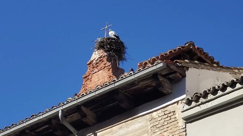 VALLADOLID IT FINEST NEIGHBOR