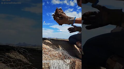 Adding Cob to Our Owl Box and The Top Of Our Earthbag Dome #offgrid #shorts