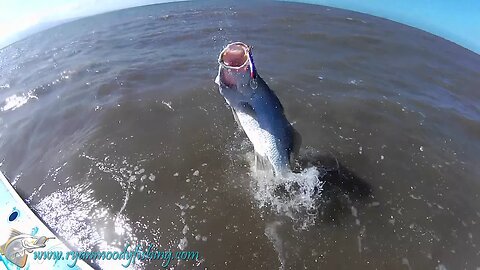 Big Barramundi Fishing series #12