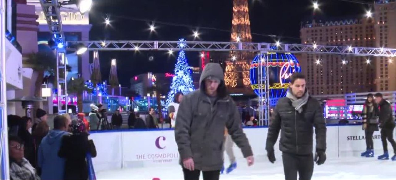 Benny the ice-skating dog at Cosmopolitan