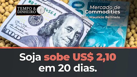 Soja sobe US$ 2,10 em 20 dias Esse dinheirão voltou para o bolso dos investidores nesta quinta-feira