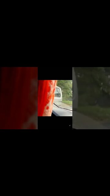 leopard attacking traffic #leopard #shorts #viral