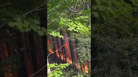 A look at the Tunnel Five Fire near Underwood, Washington.