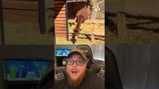 Here’s Your Dose Of REALarious…🤣🤣🤣