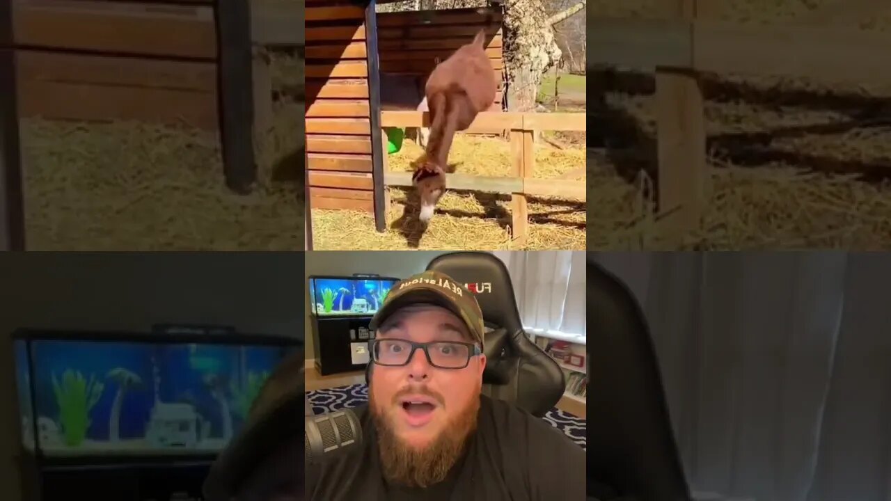 Here’s Your Dose Of REALarious…🤣🤣🤣