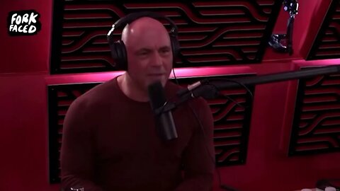 Elon Musk & Joe Rogan - Word Play