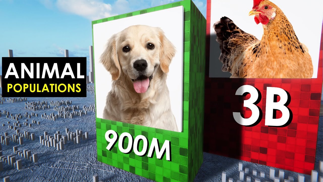 Comparison: Animal population 3d