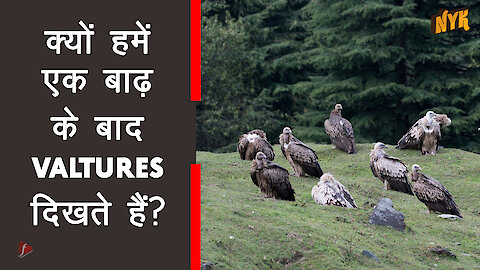 मेहतर किन्हे कहते है ?