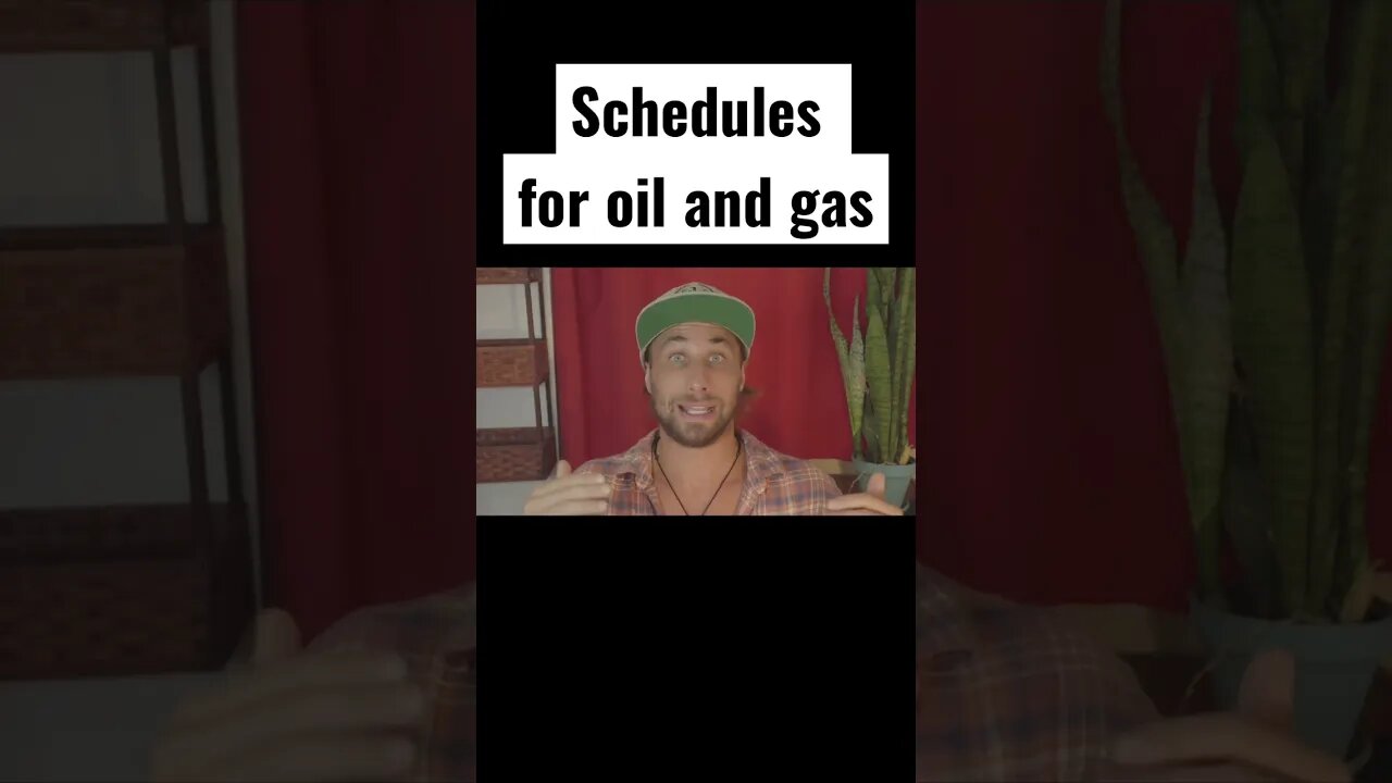 Schedules in oil and gas #pipelinediaries #books #podcast #