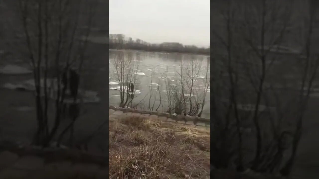 River transport in Siberia #shorts