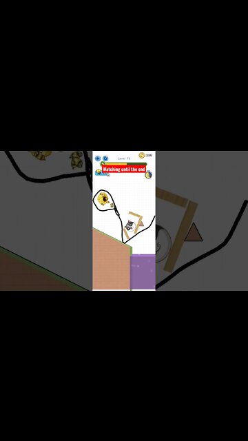 save the doge level 72 #shorts #game #savethedoge