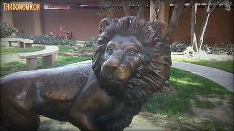 2022 02 26 7 animals