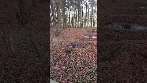 #shorts #siedbrunnen #sehlem #vorharz