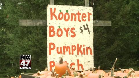 Pumpkin thieves take tuition crop in Laingsburg