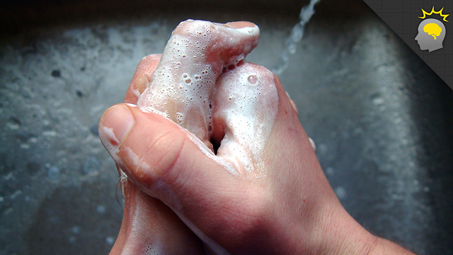 Stuff to Blow Your Mind: Can you wash your hands too much? - Science on the Web