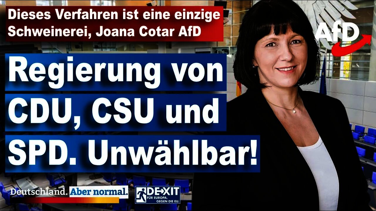 Skandal. Dieses Verfahren ist eine einzige Schweinerei, Joana Cotar AfD