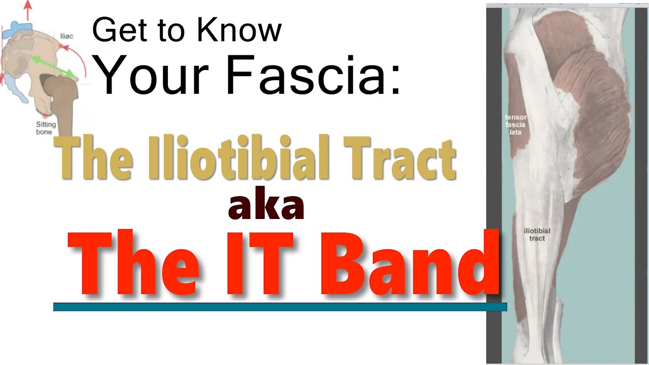 Get to Know Your Fascia: The Iliotibial Tract aka The IT Band