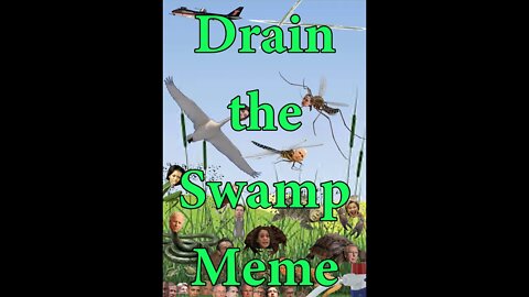 Drain the Swamp Meme.