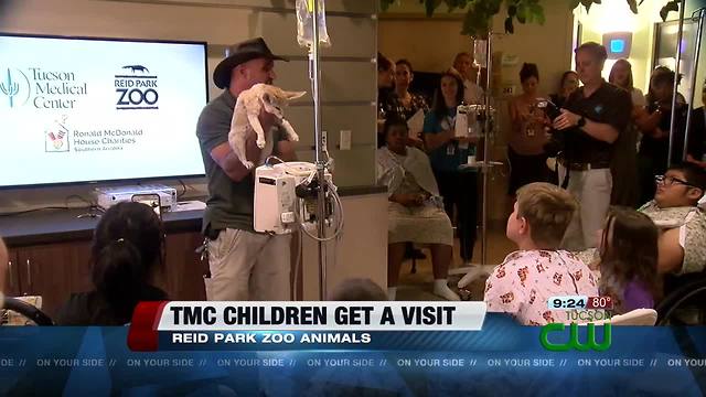 Kids at Tucson Medical Center get a visit from Reid Park Zoo animals
