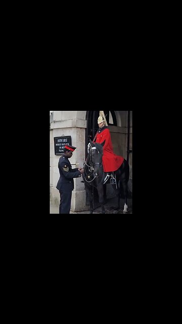 Boss fixes chain on horse #horseguardsparade