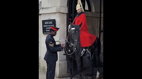 Boss fixes chain on horse #horseguardsparade