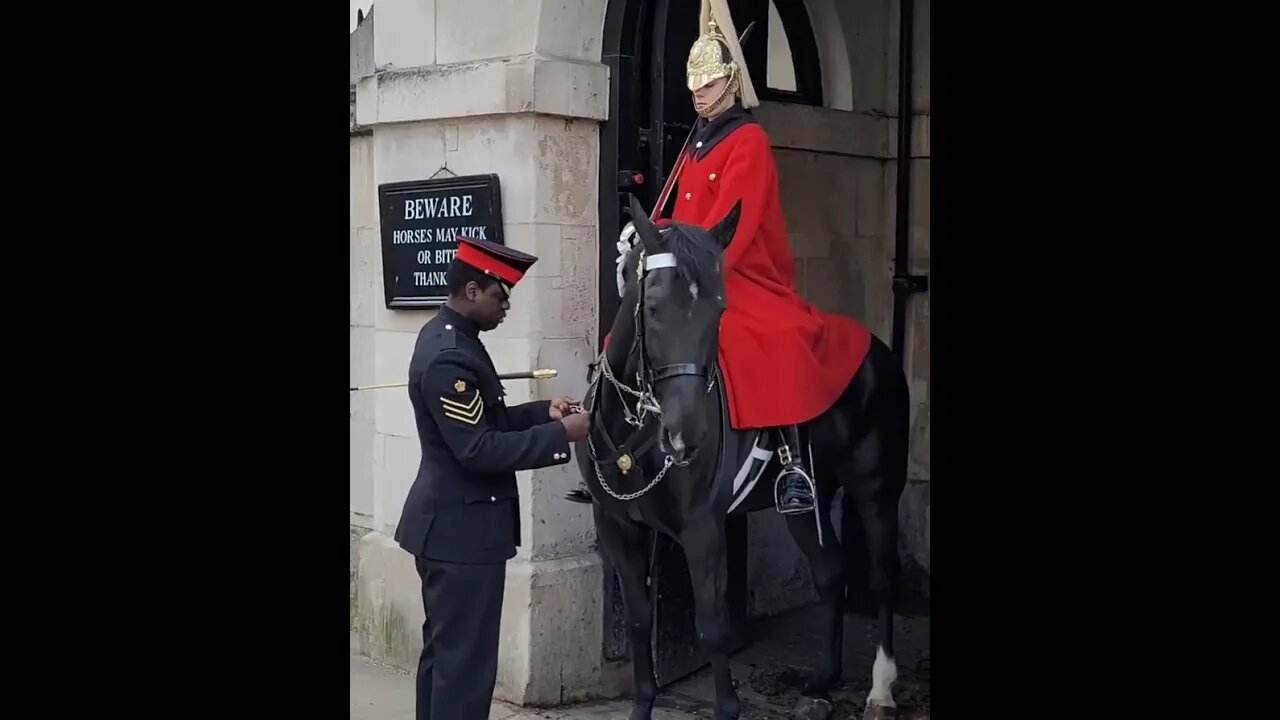 Boss fixes chain on horse #horseguardsparade