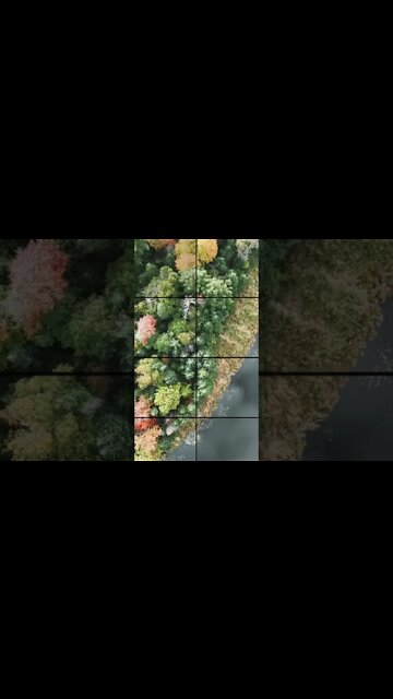 Vermont Peak Leaves II