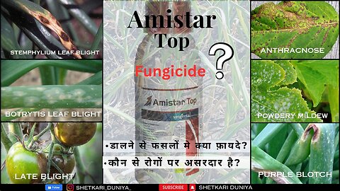 What is Amistar Top fungicide kya hai?