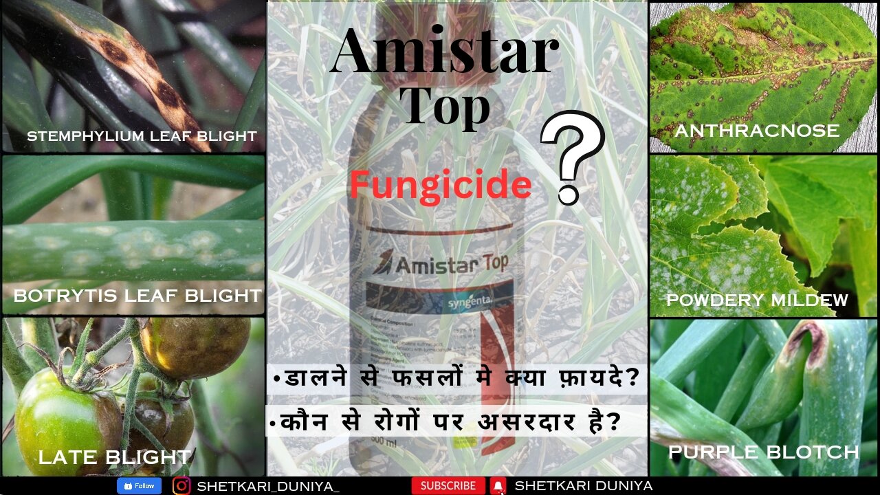 What is Amistar Top fungicide kya hai?