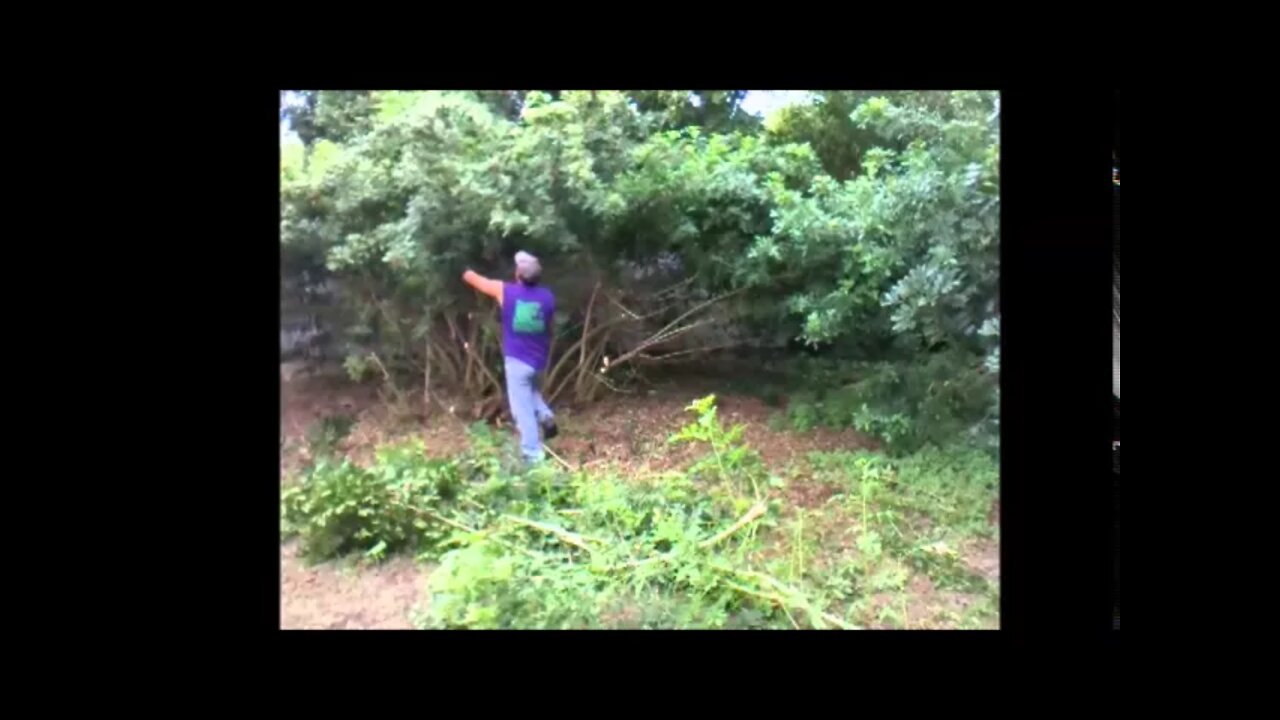 George & Ron Busting It - Part 3 - Lawn Care Business