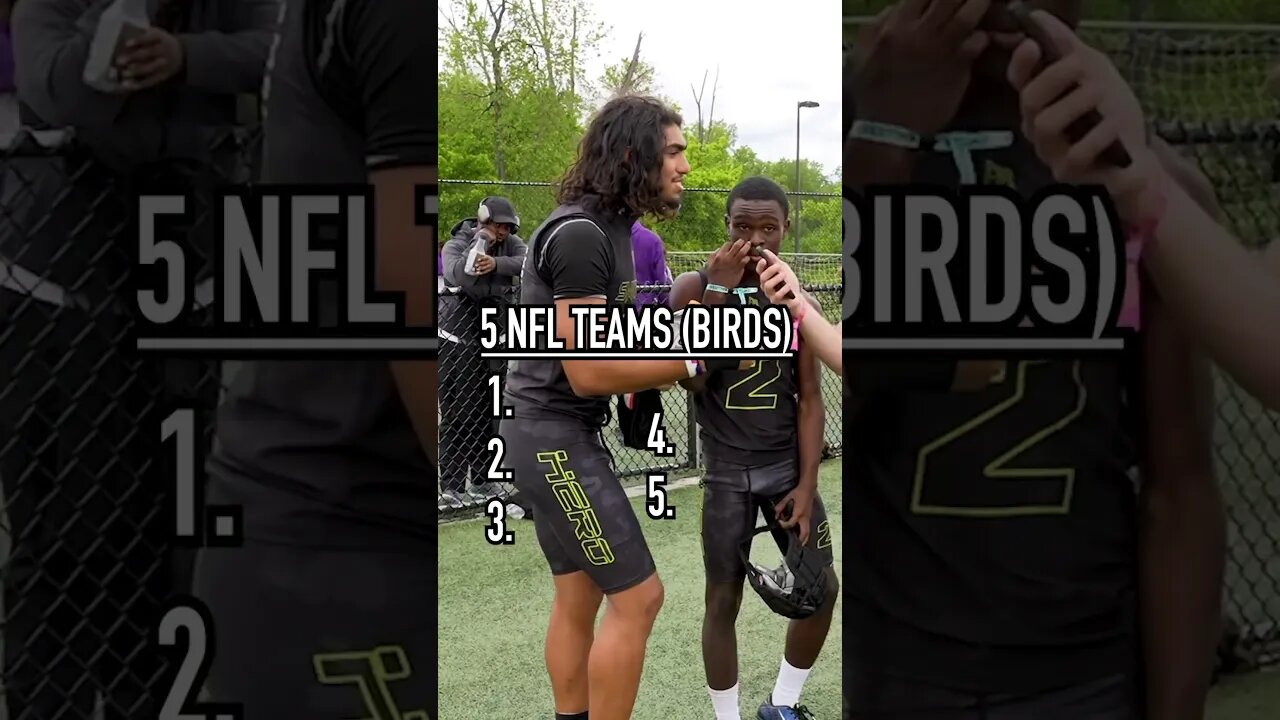 Naming ALL THE NFL TEAMS With BIRDS As Their Logo!! #shorts #birds #nfl #sportslover #logos #trivia