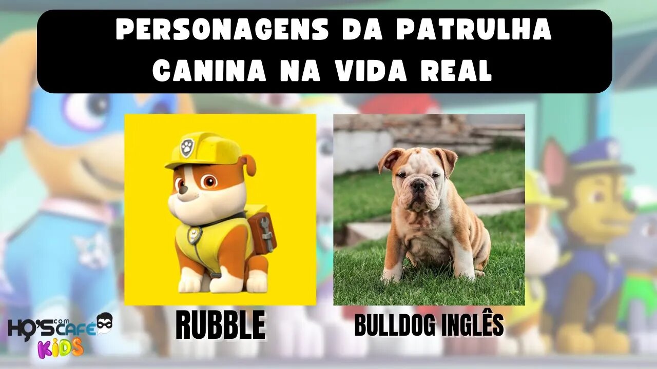 Personagens da Patrulha Canina na vida real | Top 8