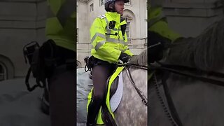 white and grey police horse's #horseguardsparade