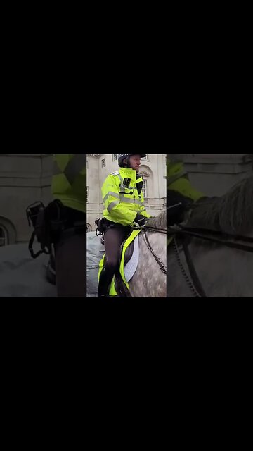 white and grey police horse's #horseguardsparade