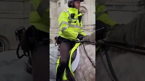 white and grey police horse's #horseguardsparade