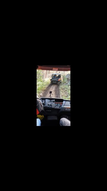 Epic Montana trail ride! 2023 Honda Pioneer 1000-6 crew! #shortsvideo