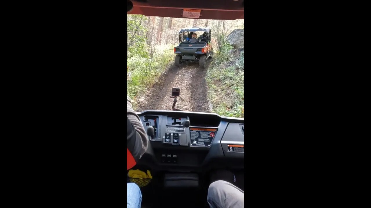 Epic Montana trail ride! 2023 Honda Pioneer 1000-6 crew! #shortsvideo