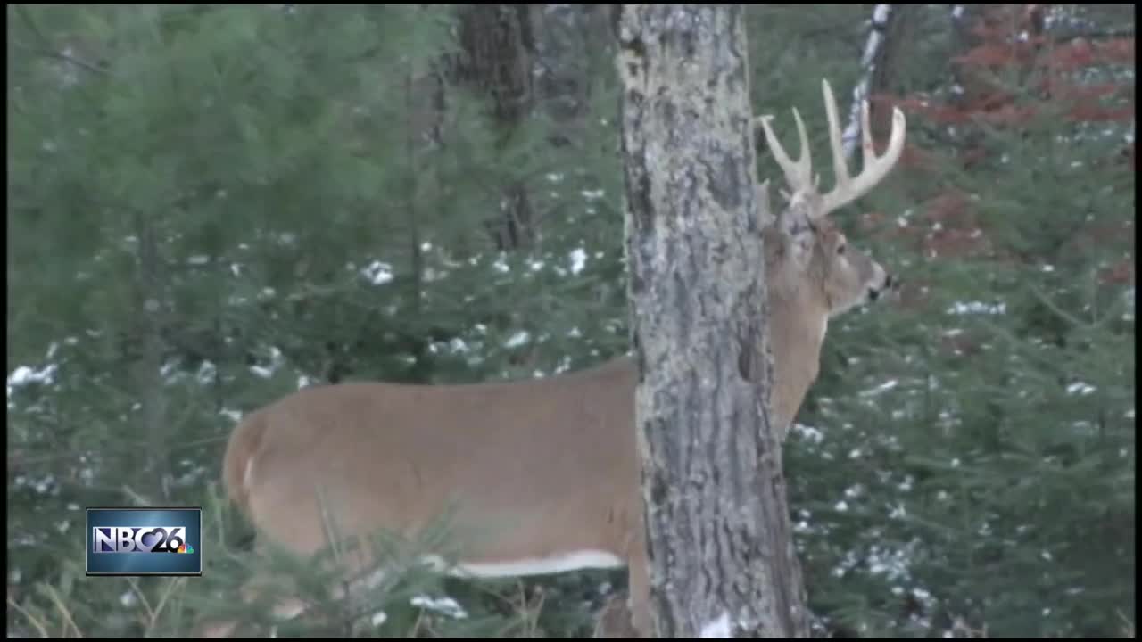 DNR expands program to slow the spread of CWD