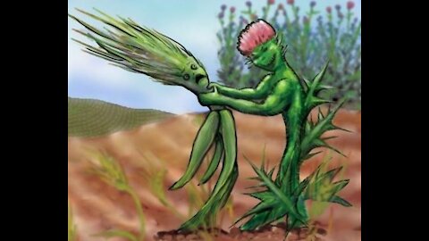 Part 2 I wish I knew this 30 years ago. What I learned in the wilderness. How Satan works