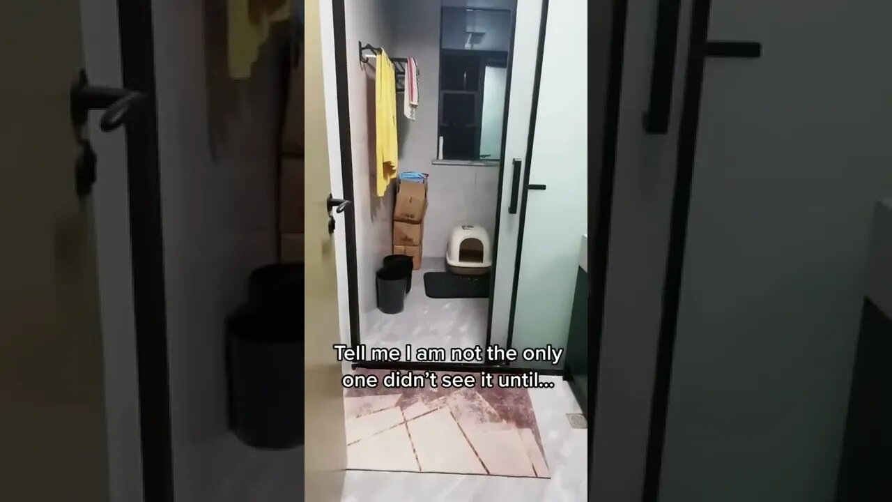 😳 #shorts #shortsvideo #fyp #cat #funny