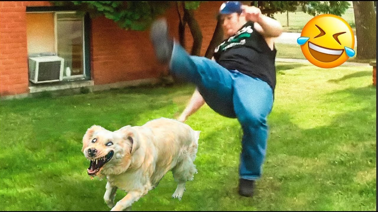 New Funny Animals π Funniest Cats and Dogs Videos πΊπΆ (1)