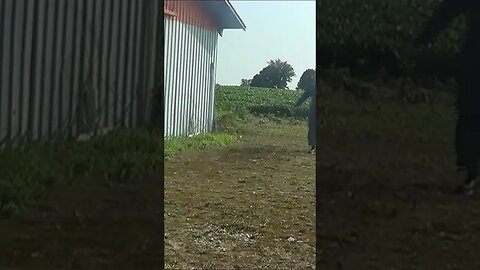 How to Check your fields for mold FAST