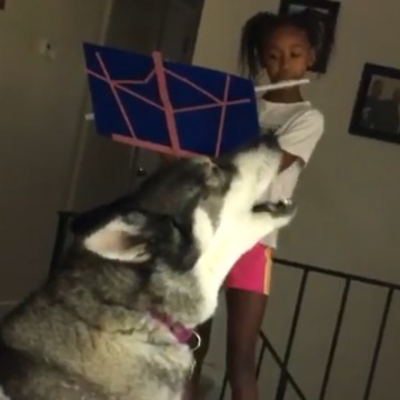 Dogs Howl While A Girl Plays The Flute