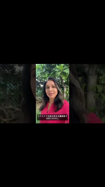 トゥルシー・ギャバード🇺🇸元下院議員(HI州-D) 米国陸軍予備役 - ウクライナは民主主義国家ではない