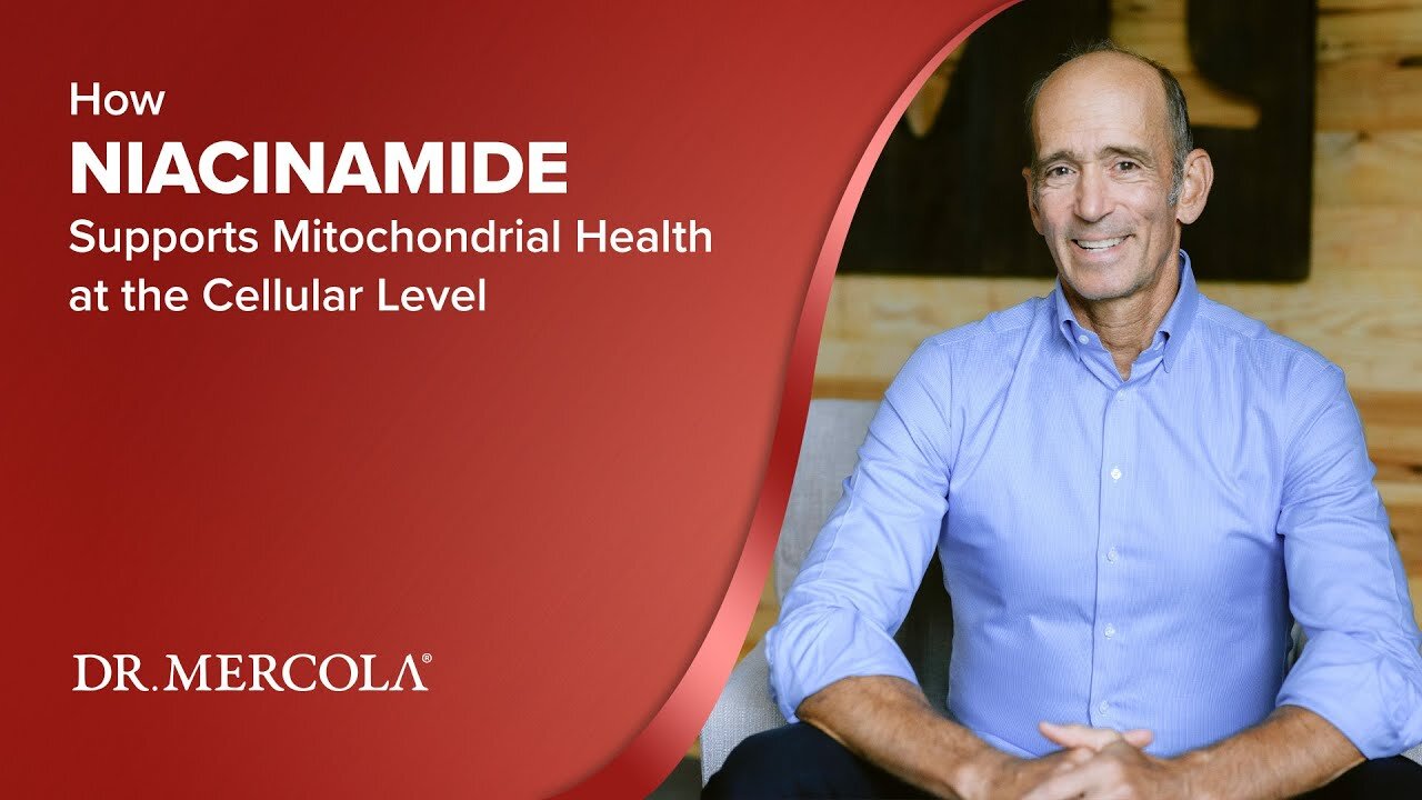 How NIACINAMIDE Supports Mitochondrial Health at the Cellular Level