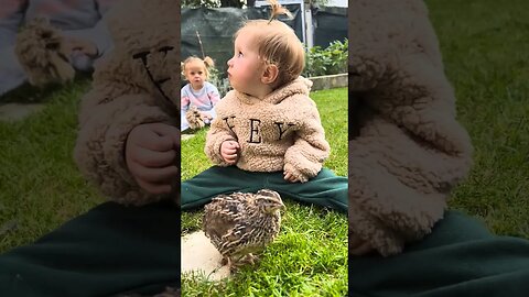 cute baby playing with little 🐦🐦🕊️🙂